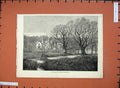 Old Antique Print 1872 Fine Art Bachelor'S Cottage Sandringham House Tree 19th