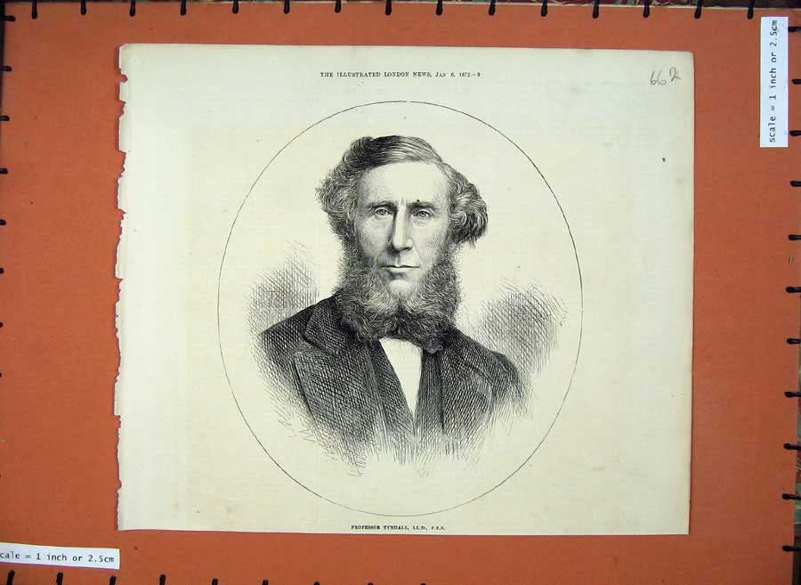 Original Old Antique Print 1872 Portrait Man Professor Tyndall 19th