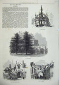 Old Antique Print Salisbury1872 Market Cross Cloisters Gate Exeter Street 19th