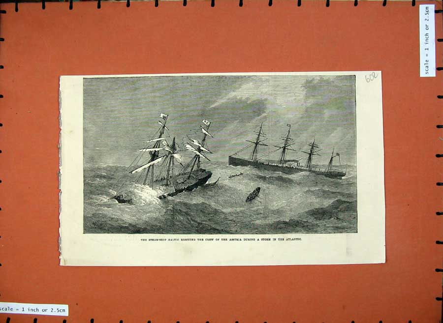 Old Antique Print Steam Ship Baltic Assyria Wreck Storm Atlantic Sea 1872 19th