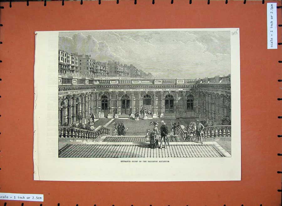 Old Antique Print 1872 Entrance Court Brighton Aquarium Architecture Art 19th