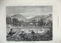 Original Old Antique Print Spring Portugal 1873 Trimming Grape Vines Fine Art