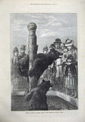 Old Antique Print Brown Grizzly Bear 1873 Zoological Society Garden Art 19th