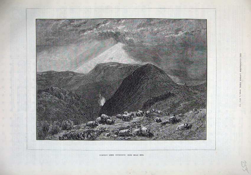 Old Antique Print 1873 Tunrner'S Liber Studiorum Hind Head Hill Sheep Art 19th