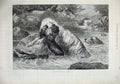 Old Antique Print 1873 Otter Hounds River Rocks Trees Basil Bradley Art 19th