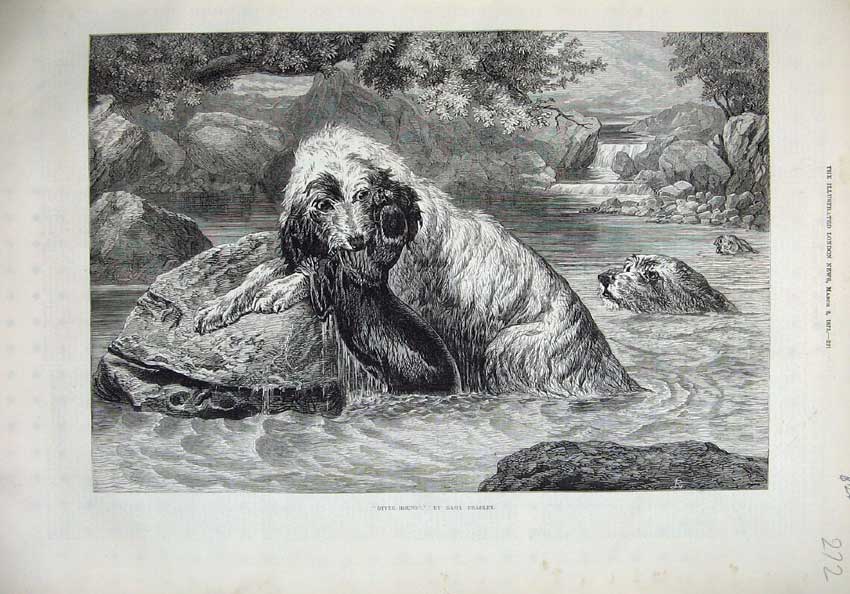 Old Antique Print 1873 Otter Hounds River Rocks Trees Basil Bradley Art 19th