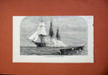 Old Antique Print 1873 Ship Immortalite Sinking Derelict Zuleika War Sea 19th