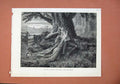 Old Antique Print 1873 Scene Fate Eugene Lyceum Theatre Man Woman Romance 19th