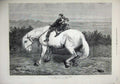 Original Old Antique Print 1873 Big White Horse Three Children Swan Rivierre