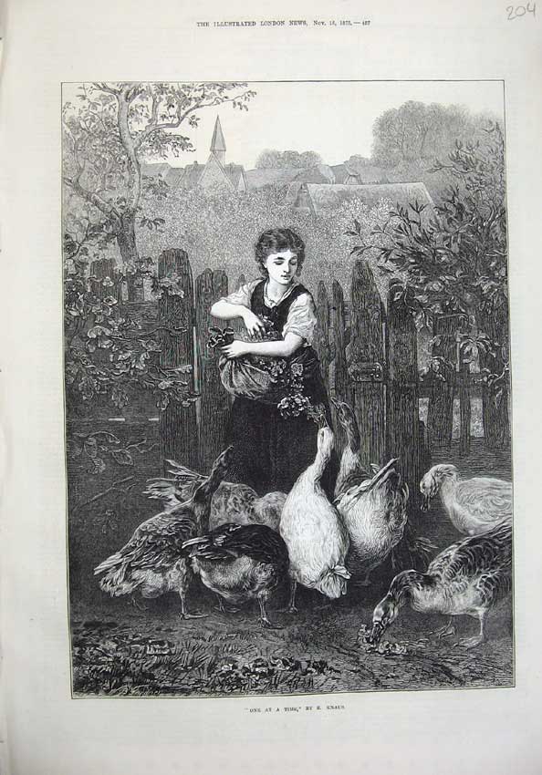 Old Antique Print 1873 Beautiful Woman Feeding Geese Bird Garden Fine Art 19th