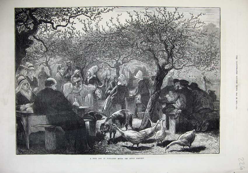 Original Old Antique Print 1873 Fete Day Normandy Apple Harvest Pig Geese Horse