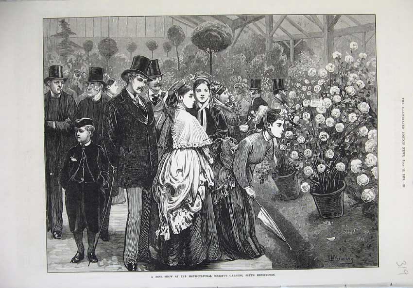 Original Old Antique Print 1873 Rose Show Horticultural Gardens Kensington Art