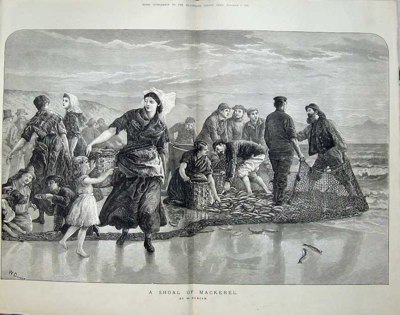 Antique Old Print 1873 Shoal Mackerel Fishing Nets Men Women Children Art 19th