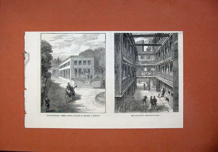 Old Antique Print 1873 Swans Bishopgate Street Trianon-Sous-Bois Bazaine 19th
