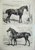 Old Antique Print Horse Show Islington Prince Wales Park Cob Bob Cashier