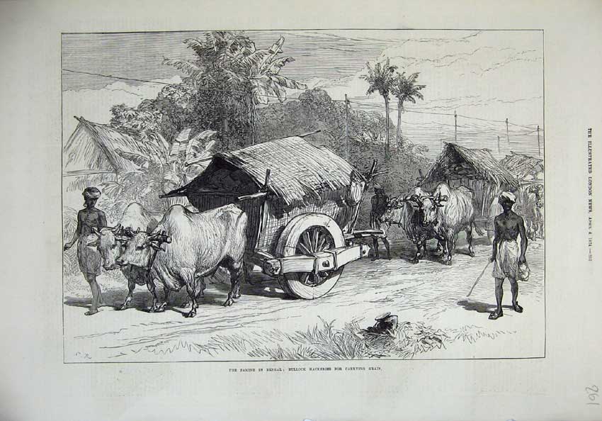 Old Antique Print 1874 Famine Bengal Bullock Hackeries Grain Waggons Art 19th