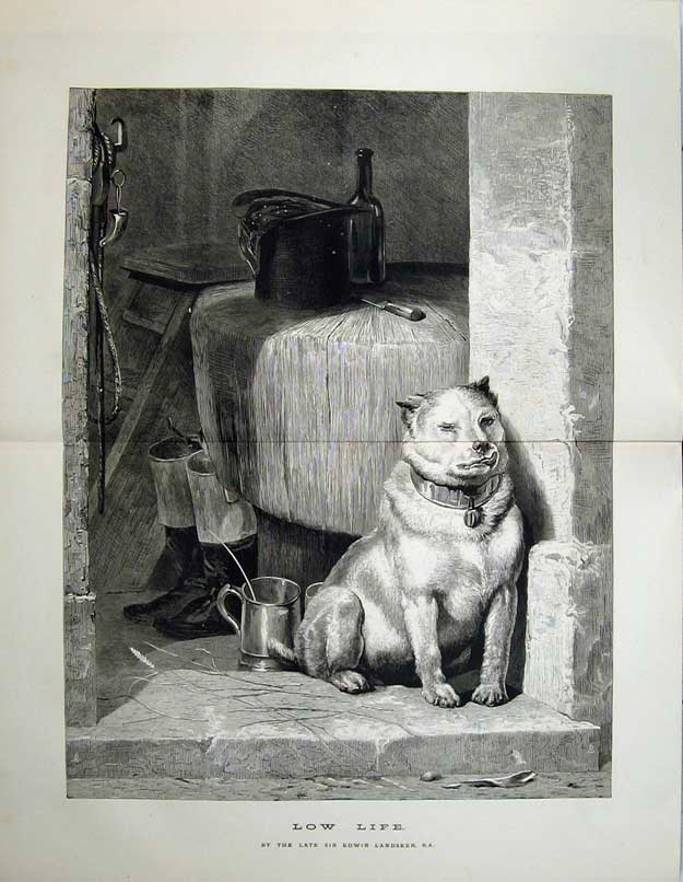 Original Old Antique Print 1874 Edwin Landseer Fine Art Puppy Dog Sitting Step