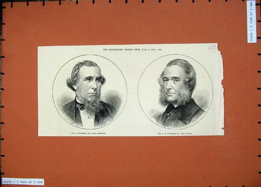 Old Antique Print Mr M'Donald Stafford 1874 Hubbard London Parliament Men 19th