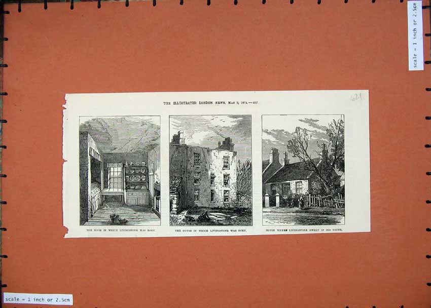 Original Old Antique Print 1874 Livingstone House Bedroom Garden Trees Fine Art