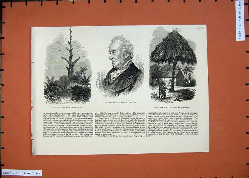 Old Antique Print 1874 Tree Inquabim Schetky Artist Camp Whipping -Post 19th