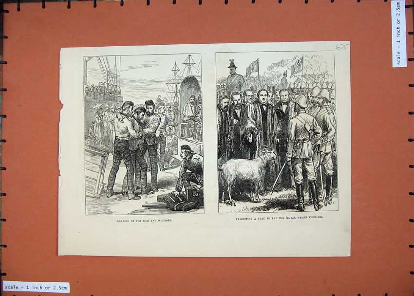 Original Old Antique Print 1874 Ship Landing Sick Wounded Siers Army Goat 19th