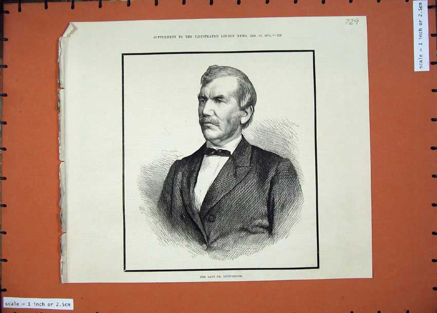 Original Old Antique Print 1874 Portrait Late Dr Livingstone Man 19th