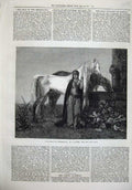Old Antique Print Fine Art 1874 Beautiful Woman White Horse Gautier Paris 19th