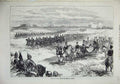 Original Old Antique Print 1874 Review Troops Queen Chobham Army Horse Carriage