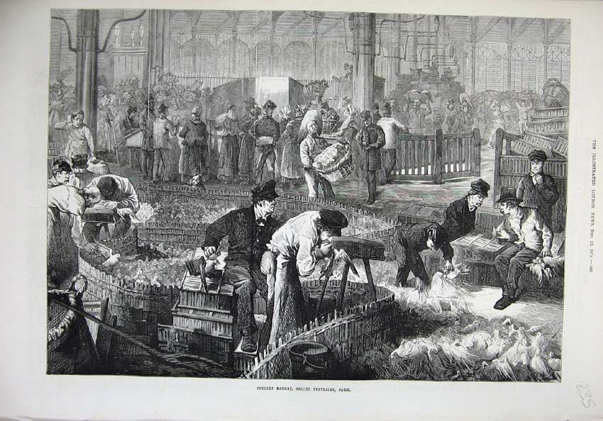Old Antique Print 1874 Poultry Market Halles Centrales Paris France Art 19th