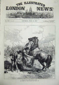 Original Old Antique Print 1874 War Spain Death Marshal Concha Army Linares