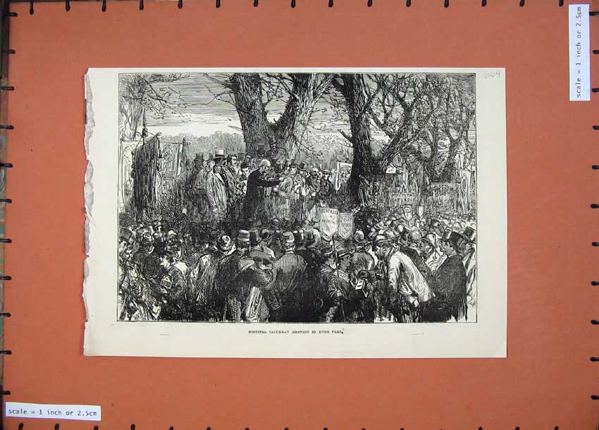 Original Old Antique Print 1874 Hospital Meeting Hyde Park People Trees 19th