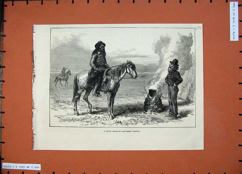 Original Old Antique Print 1874 North American Half-Breed Hunter Horse 19th