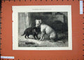 Original Old Antique Print 1874 Fine Art Landseer'S Pet Dog Tiney Cat Animal