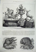Original Old Antique Print Ascot Cup Prize Plate 1875 Tree Shrew Pegu Porcupine
