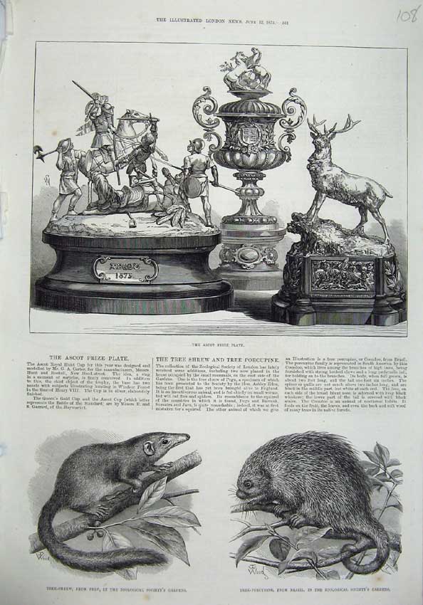 Original Old Antique Print Ascot Cup Prize Plate 1875 Tree Shrew Pegu Porcupine