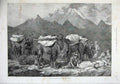Old Antique Print 1875 Fine Art Transporting Turkestan Camels Mountains 19th