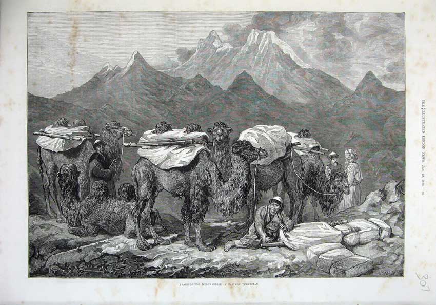 Old Antique Print 1875 Fine Art Transporting Turkestan Camels Mountains 19th