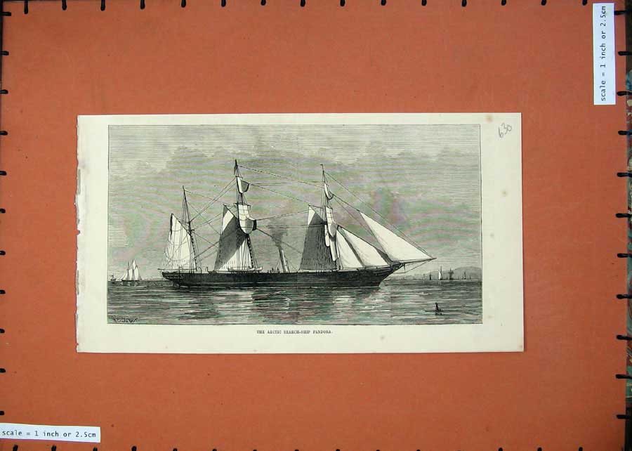 Original Old Antique Print 1875 Arctic Sailing Search Ship Pandora Sea Fine Art