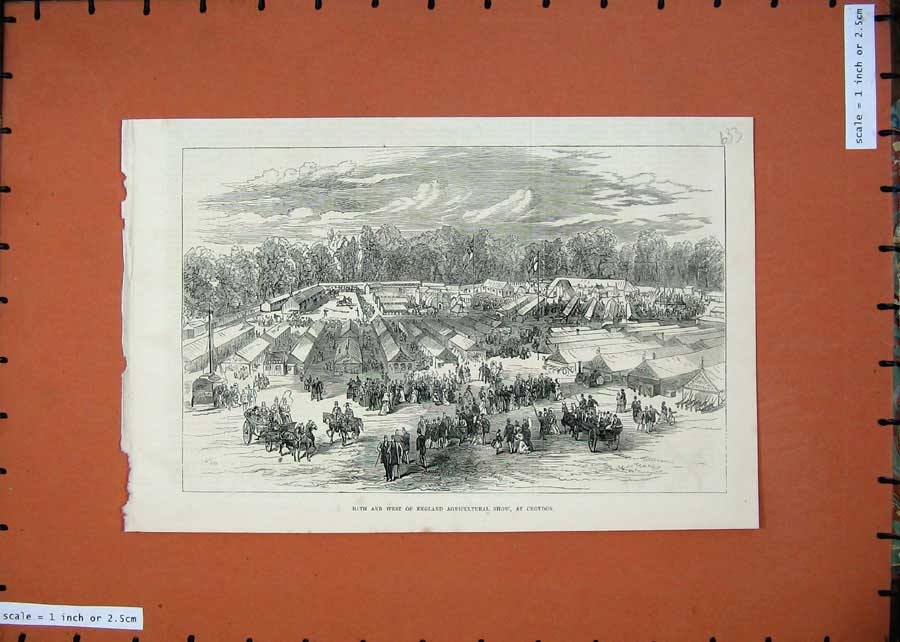 Original Old Antique Print 1875 Bath England Agricultural Show Croydon Horses