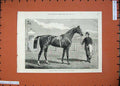 Original Old Antique Print 1875 Horse Camballo Winner Thousand Guineas Stakes