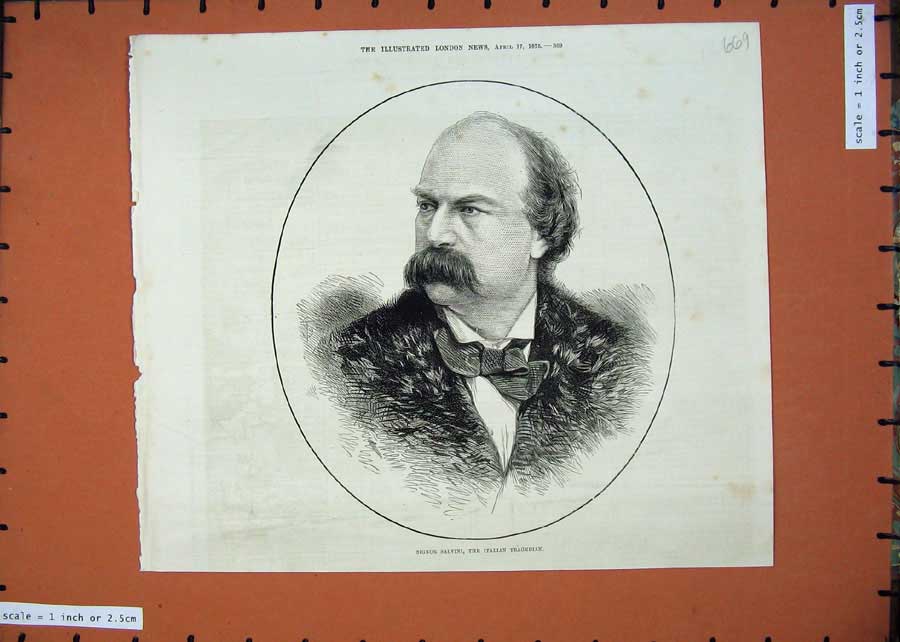 Original Old Antique Print 1875 Portrait Signor Salvini Italian Tragedian 19th