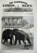 Original Old Antique Print 1875 Elephant Fighting Baroda Prince Wales Fine Art