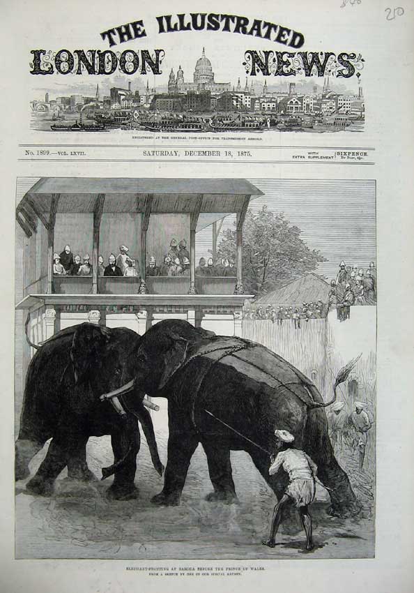 Original Old Antique Print 1875 Elephant Fighting Baroda Prince Wales Fine Art