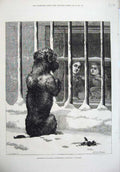 Original Old Antique Print 1875 Children House Window Dog Snow Railings 19th