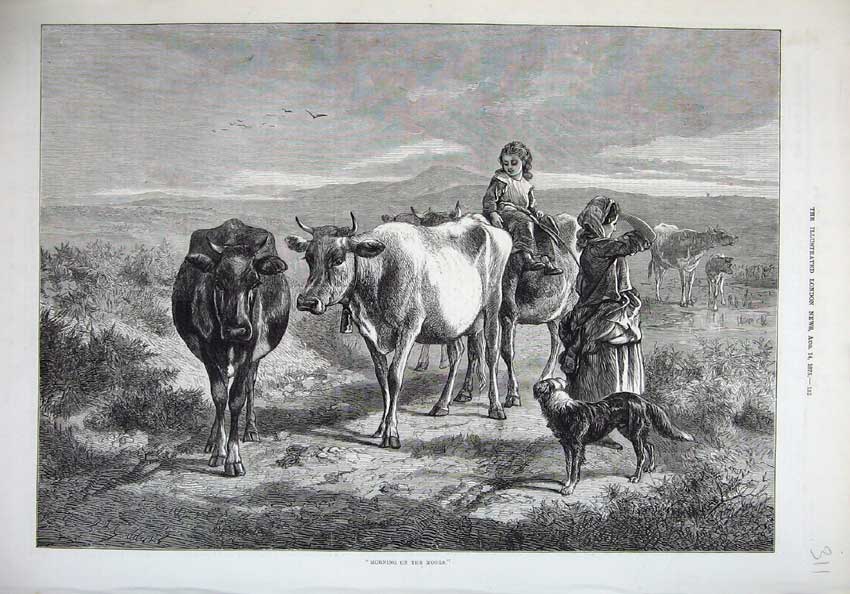 Old Antique Print 1875 Morning Moors Cattle Cows Mother Child Dog Hills 19th