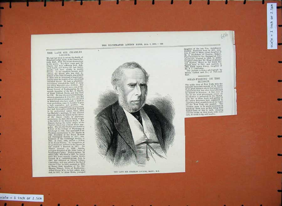 Old Antique Print 1875 Portrait Sir Charles Locock Bart Physician Queen 19th