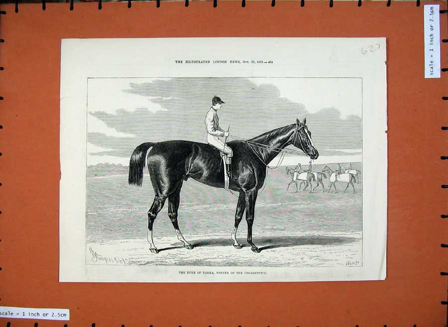 Original Old Antique Print 1875 Duke Parma Horse Winner Cesarewitch Sport 19th