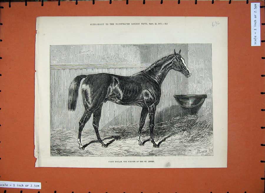Original Old Antique Print 1875 Craig Millar Horse Winner St Leger Sport 19th