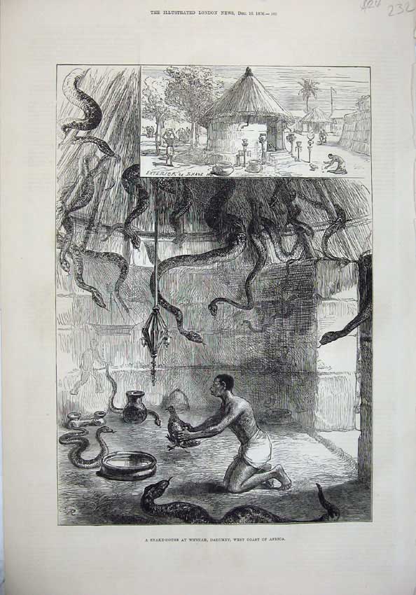 Old Antique Print 1876 Snake House Whydah Dahomey Africa Man Feeding Bird 19th