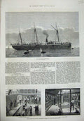 Old Antique Print 1876 Troop Ship Assistance Horses Transport Stable Deck 19th